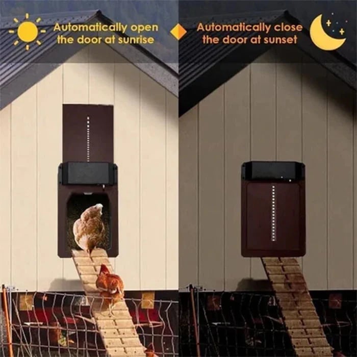 🎉LAST DAY 49% OFF🎉 - Automatic Chicken Coop Door